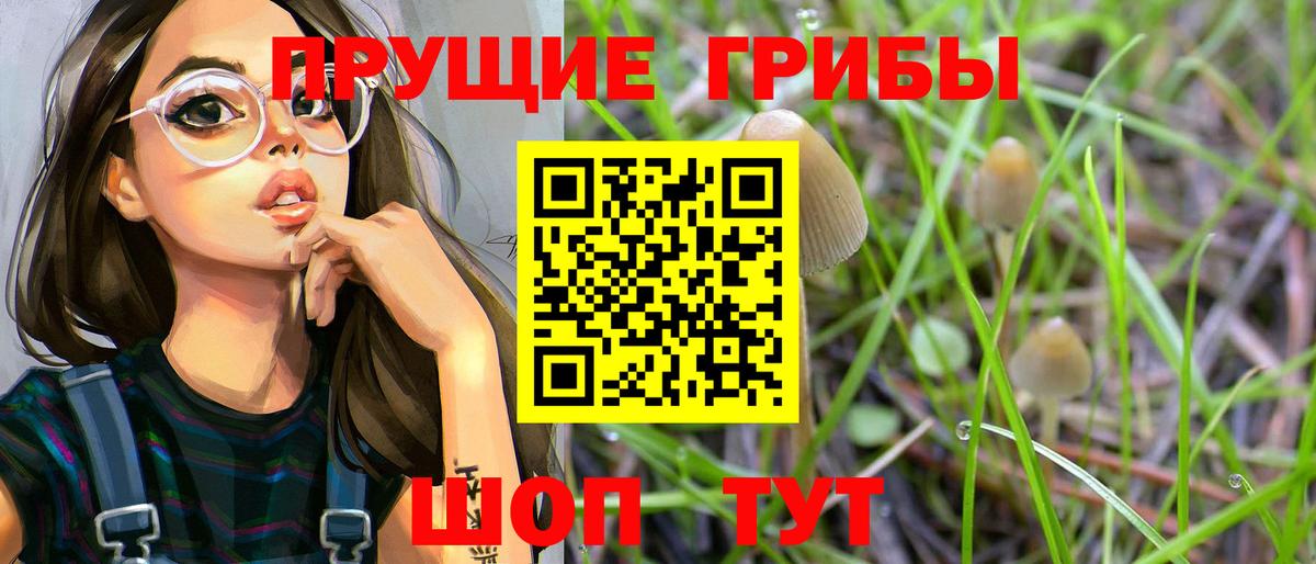 Псилоцибиновые грибы Cubensis Майский